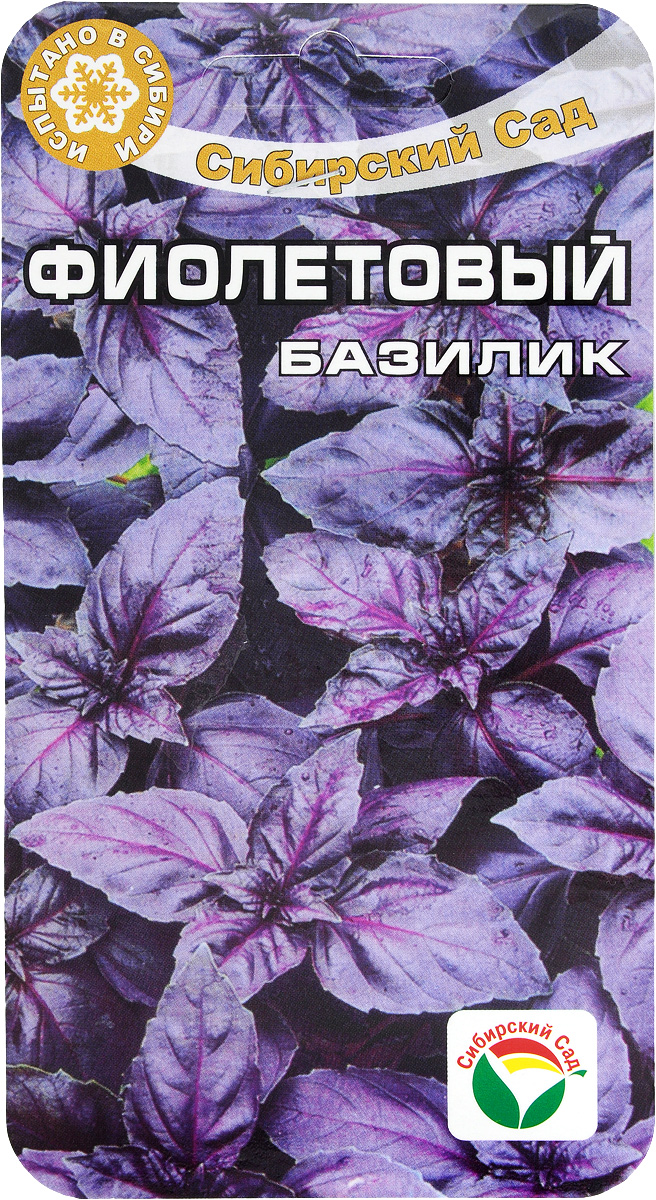 Семена Сибирский сад Базилик. Фиолетовый, 0,5 гBP-00000176 Семена Сибирский сад Базилик. Фиолетовый, 0,5 гBP-00000176Семена Сибирский сад Базилик. Фиолетовый, выращиваются как через рассаду, так и посевом в грунт. Травянистое однолетние растение, обладающее как пряно-ароматическими, так и лекарственными свойствами. Растение темно-фиолетового цвета с великолепным вкусом с оттенком запаха душистого перца. Базилик предпочитает легкие плодородные почвы, не переносит переувлажнение и затенение. Используется в свежем и сушенном виде для приготовления различных блюд. Для ускорения процесса всхожести семян, оздоровления растений, улучшения завязываемости плодов рекомендуется пользоваться специально разработанными стимуляторами роста и развития растений. Высота растения: 30-35 см.