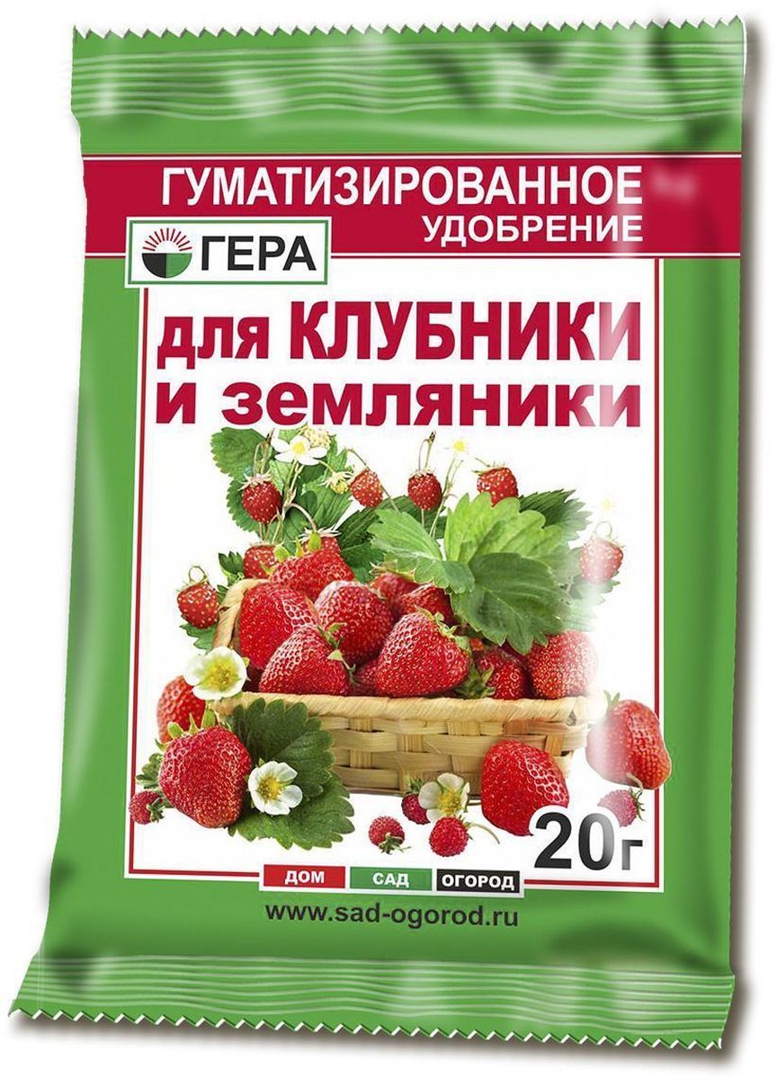 Уход и подкормка клубники в мае Уход и подкормка клубники в мае