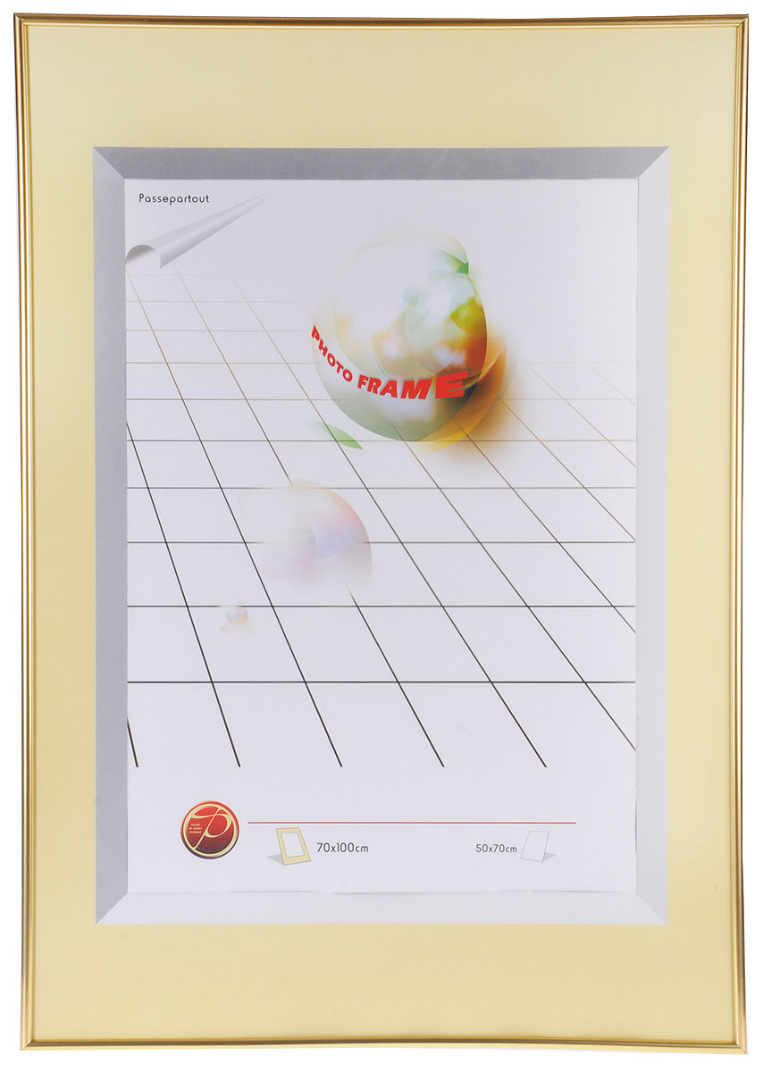 Фоторамка Pioneer Gold, 70 х 100 см9146 PR foil Фоторамка Pioneer Gold, 70 х 100 см9146 PR foilРамка настенная для фотографий размером: 70x100 см. Материал: пластик.