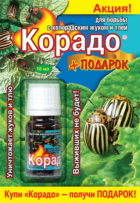 Средство для защиты растений Корадо, от колорадского жука, тли, 10 мл8-422261 Средство для защиты растений Корадо, от колорадского жука, тли, 10 мл8-422261Средство для защиты растений Корадо защитит ваш огород от колорадского жука и тли. Жидкость эффективна против личинок и взрослых жуков. После опрыскивания защищает картофель длительное время. Этот препарат защищает даже молодой прирост, растущий после опрыскивания. И в отличии от препаратов для обработки клубней имеет малую норму расхода на 1 сотку (в 10 раз меньше).