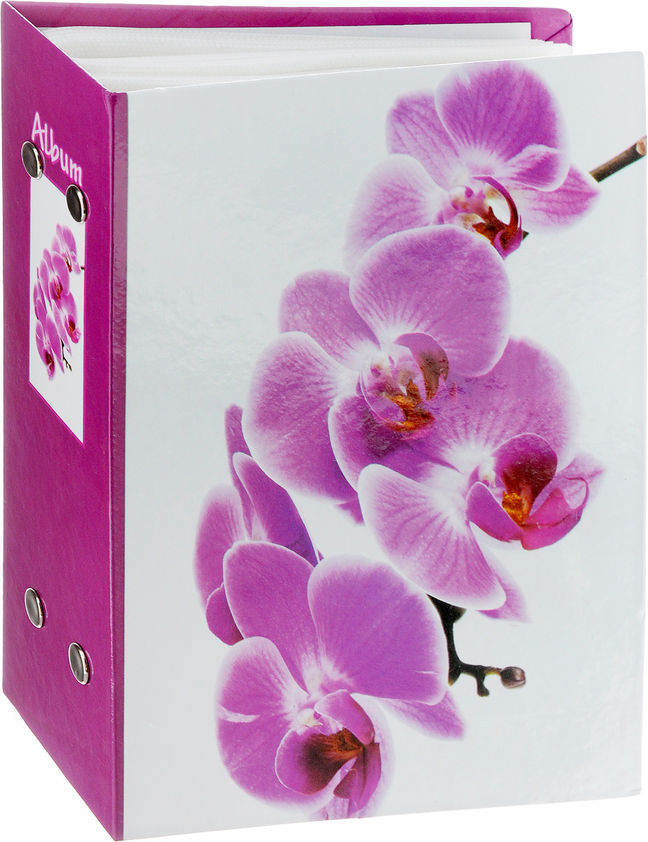 Фотоальбом Pioneer Lancome, 200 фотографий, цвет: сиреневый, 10 x 15 см46362 РР-46200 Фотоальбом Pioneer Lancome, 200 фотографий, цвет: сиреневый, 10 x 15 см46362 РР-46200Фотоальбом Pioneer Lancome поможет красиво оформить ваши самые интересные фотографии. Обложка из толстого ламинированного картона оформлена принтом. Фотоальбом рассчитан на 200 фотографий форматом 10 x 15 см. Внутри содержится блок из 50 листов с окошками из полипропилена, одна страница оформлена двумя окошками для фотографий. Такой необычный фотоальбом позволит легко заполнить страницы вашей истории, и с годами ничего не забудется. Тип обложки: картон. Тип листов: полипропиленовые. Тип переплета: высокочастотная сварка. Материалы, использованные в изготовлении альбома, обеспечивают высокое качество хранения ваших фотографий, поэтому фотографии не желтеют со временем.