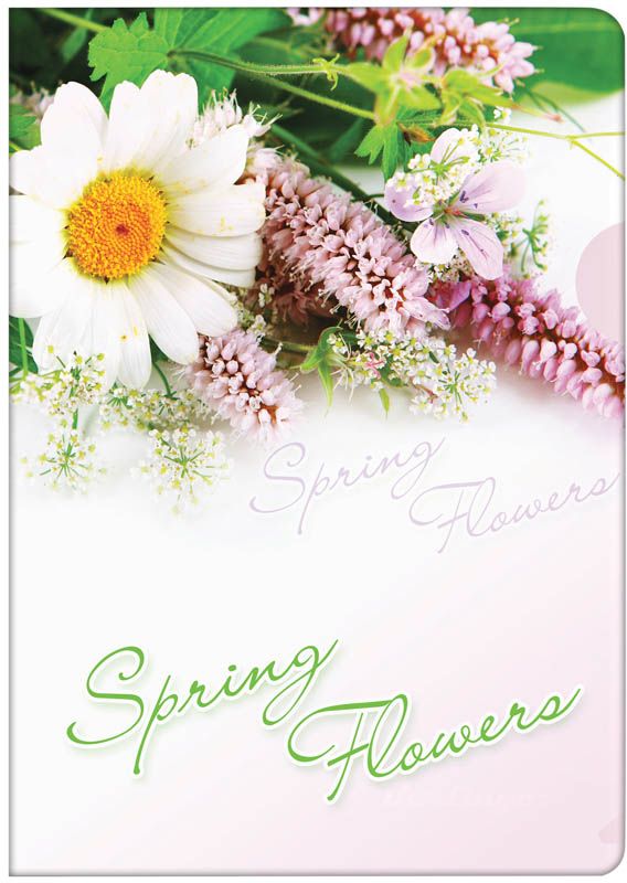 Berlingo Папка-уголок Spring FlowersAGp_04031 Berlingo Папка-уголок Spring FlowersAGp_04031Пластиковая папка -уголок с ярким рисунком. Боковой вырез предназначен для удобного извлечения листов.