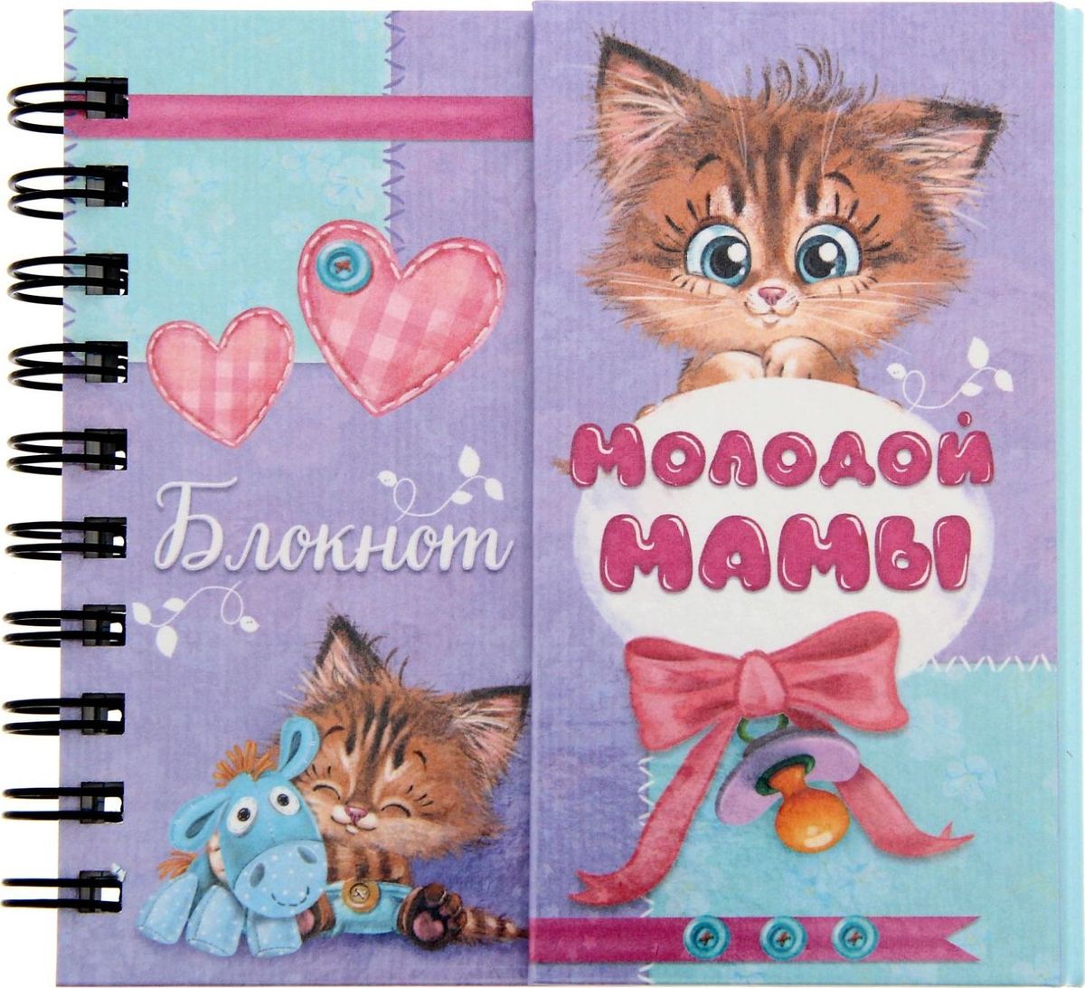 Записная книжка Блокнот молодой мамы 60 листов1251784 Записная книжка Блокнот молодой мамы 60 листов1251784Записная книжка Блокнот молодой мамы поможет ничего не забыть. Благодаря уникальной конструкции с магнитным клапаном он легко открывается и закрывается. Теперь самые трогательные моменты и записи о воспитании малыша будут надежно сохранены в Блокноте молодой мамы.