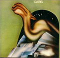 Camel. Camel