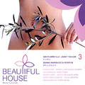 Beautiful House 3
