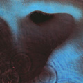 Pink Floyd. Meddle