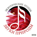 ����� �������. ������������ ����� (mp3)