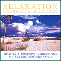Beauty & Positive Vibrations Of Nature Sounds Vol. 1