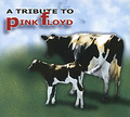A Rock Tribute To Pink Floyd