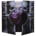 Emerson Lake & Palmer. Brain Salad Surgery (LP)