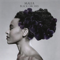 Malia. Black Orchid