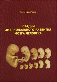 Эмбриональное Развитие Человека