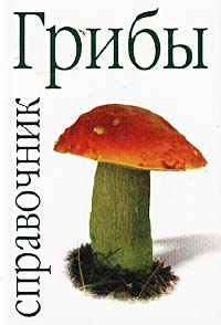 Грибы