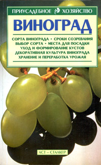 Виноград Виноград