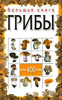 Большая книга. Грибы. Н. Е. Макарова