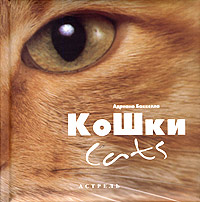 Кошки / Cats. Адриано Баккелла
