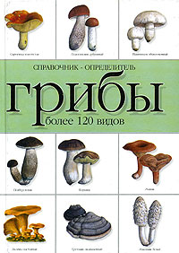 Грибы. Справочник-определитель. Более 120 видов