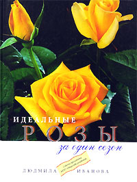 Идеальные розы за один сезон. Людмила Иванова