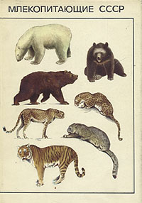 Млекопитающие СССР