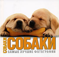 Собаки. Самые лучшие фотографии. Вито Буоно