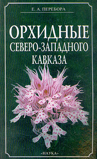 Орхидные Северо-Западного Кавказа