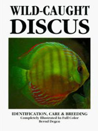 Wild-Caught Discus - Bernd Degen купить и читать - BooksPrice.ru