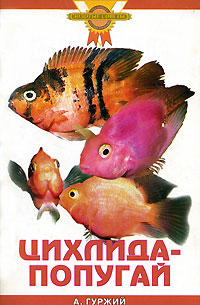 Цихлида-попугай