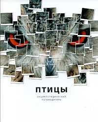 Птицы. Энциклопедический путеводитель. Джоанна Бургер