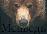 Медведь / Bear. Сергей Горшков