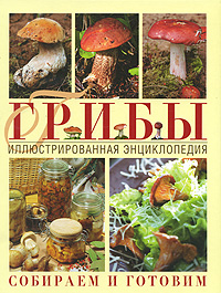Грибы. Иллюстрированная энциклопедия. Собираем и готовим. Татьяна Ильина