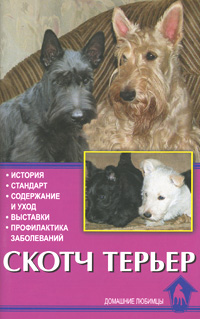 Скотч терьер. О. Кутовая