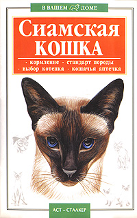 Сиамская кошка