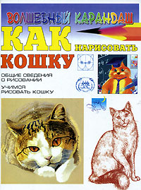 Как нарисовать кошку Как нарисовать кошку