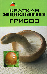 Краткая энциклопедия грибов. Т. Ю. Суворова