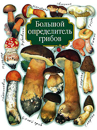 Большой определитель грибов. А. В. Юдин