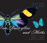 Купить 100 Butterflies and Moths: Portraits from the Tropical Forests of Costa Rica, Jeffrey C. Miller, Daniel H. Janzen, Winifred Hallwachs