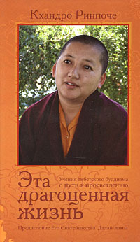 Эта драгоценная жизнь. Учения тибетского буддизма о пути к просветлению