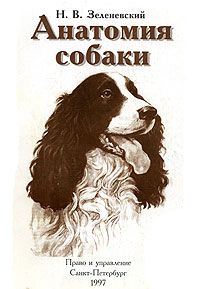 Анатомия собаки, Н. В. Зеленевский