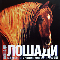 Лошади