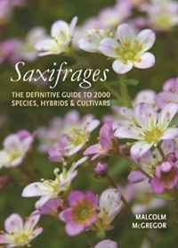 Saxifrages: The Definitive Guide to 2000 Species, Hybrids & Cultivars