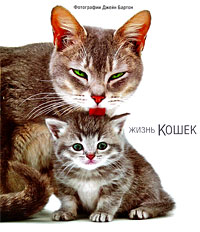 Жизнь кошек. Джейн Бартон