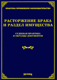 Расторжение брака и раздел имущества. Судебная практика и образцы документов