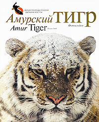 Амурский тигр. Фотоальбом / Amur Tiger. Picture Book. Виктор Юдин, Александр Баталов, Юрий Дунишенко