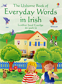 Everyday Words in Irish / Leabhar focal Gaeilge do gach la