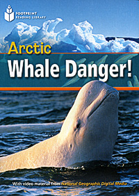 Arctic Whale Danger!