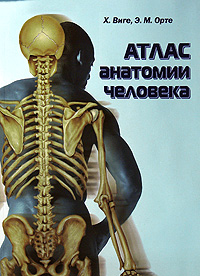 Купить Атлас анатомии человека, Х. Виге, Э. М. Орте
