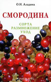 О н аладина смородина. 1001627262. О н аладина смородина фото. О н аладина смородина-1001627262. картинка О н аладина смородина. картинка 1001627262. СМОРОДИНА — ягоды многолетнего кустарника; в СССР произрастает почти повсеместно, доходя до Крайнего Севера и Дальнего Востока, но гл. обр. в центральных областях. Из многочисленных видов смородины наиболее распространены чёрная и красная, к которой также… … Краткая энциклопедия домашнего хозяйства