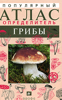 Популярный атлас-определитель. Грибы. Л. В. Гарибова