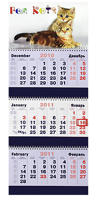 Календарь 2011 (на спирали). Год кота