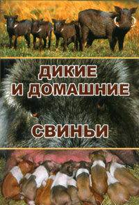 Купить Дикие и домашние свиньи, В. И. Герасимов